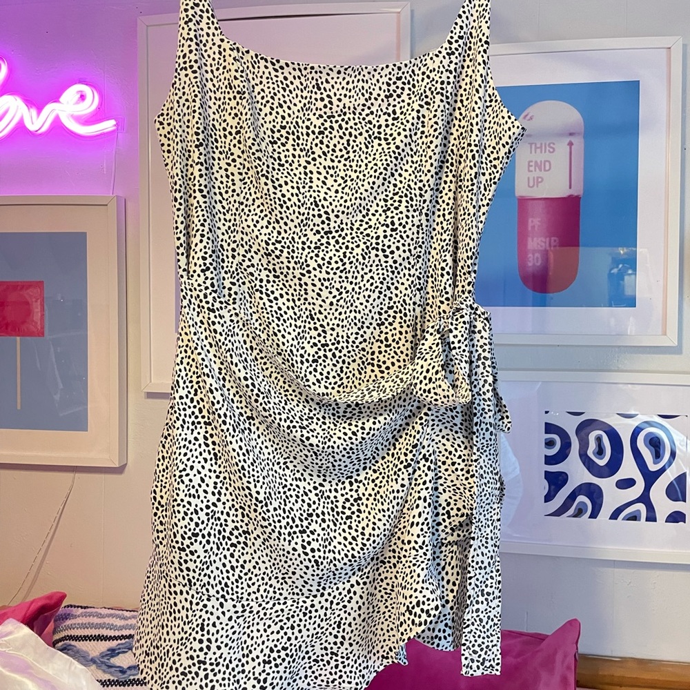 Princess polly dress